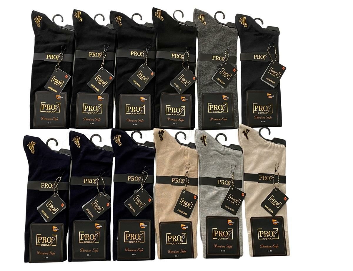 PRO 18002 ERKEK MODAL YAZLIK ÇORAP