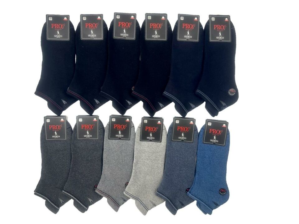PRO 14021 ERKEK HAVLU PATİK