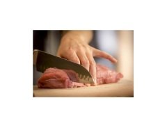 Tefal Ice Force Santoku Bıçak - 18 cm