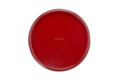 Tefal DeliBake Savarin Kelepçeli Kek Kalıbı - 28 cm