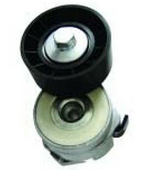 ALTERNATÖR GERGİ RULMANI FİAT DUCATO 3