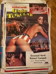 GARİP TUTKULAR FİLMİNİN AFİŞİ OYNAYANLAR: EMANUEL VARDI, ROBERT CAMPELL, FANNE FOXE, ULLI LOMMEL YÖNETMEN: ROMANO VANDERBES