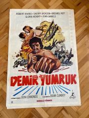 DEMİR YUMRUK Film Afişi | Robert Viharo, Sherry Jackson