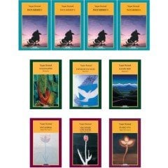 Yapı Kredi Yaşar Kemal 10 Kitap Set - İnce Memed - Dağın Öte Yüzü - Kimsecik Serisi