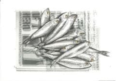 Onur Gürsoy - Hamsi - Kağıt Üzerine Karışık Teknik