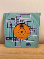 Titanic | Sultana / Sing Fool Sing | LEJON baskı