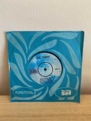 Ziya Taşkent / Aşkın İçimde Rüya - Alım Yeşilim Sarım