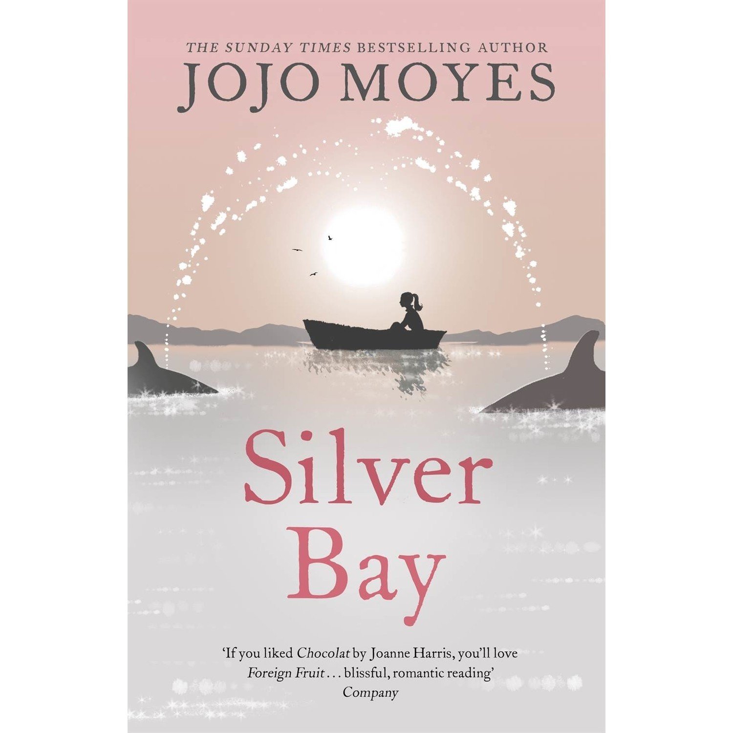 Silver Bay - Jojo Moyes