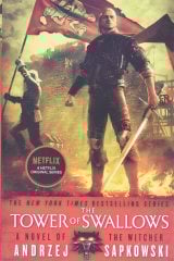 The Tower Of Swallows - Andrzej Sapkowski