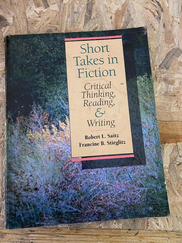 Short Takes in Fiction: Critical Thinking, Reading and Writing