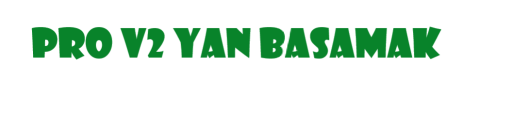PRO V2 YAN BASAMAK