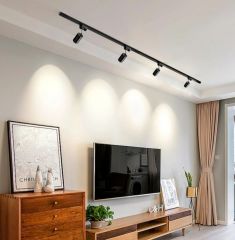 CATA 30 Watt Dekoratif 4000K Işık Babil Ray Armatür Siyah Kasa CT-5334