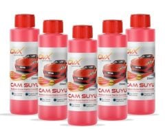 YAZLIK CAM SUYU KIRMIZI 250 ML PET