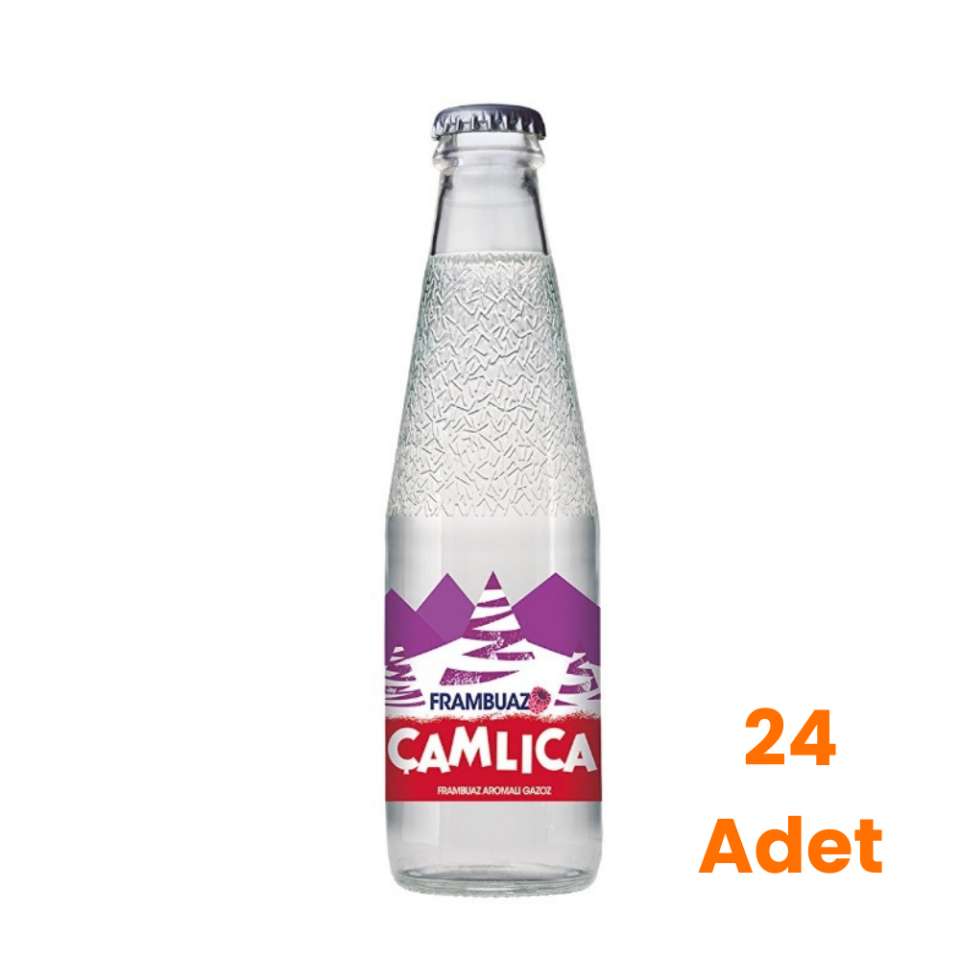 Çamlıca Frambuaz Aromalı Gazoz 200 Ml X 24 Adet