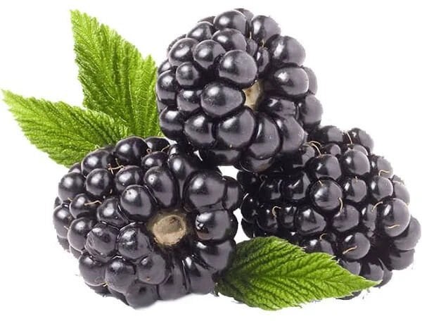 SuperFresh  Böğürtlen 2,5 Kg