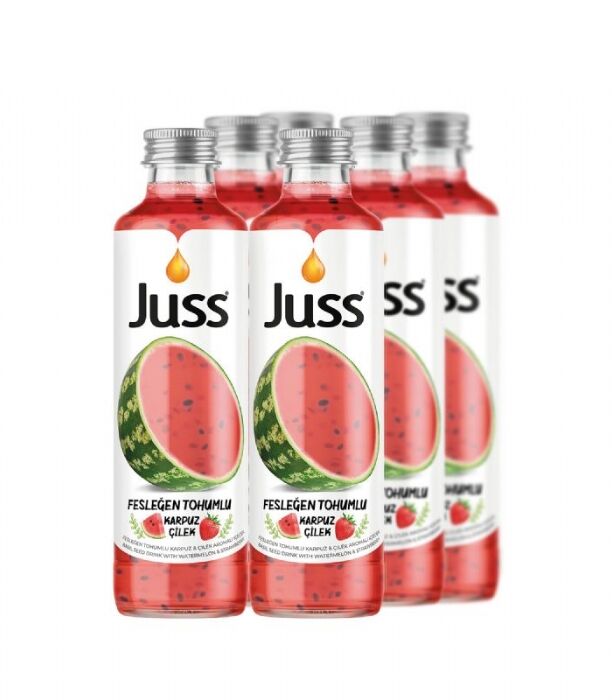 Juss  Karpuz Çilek Fesleğen 250ML*24