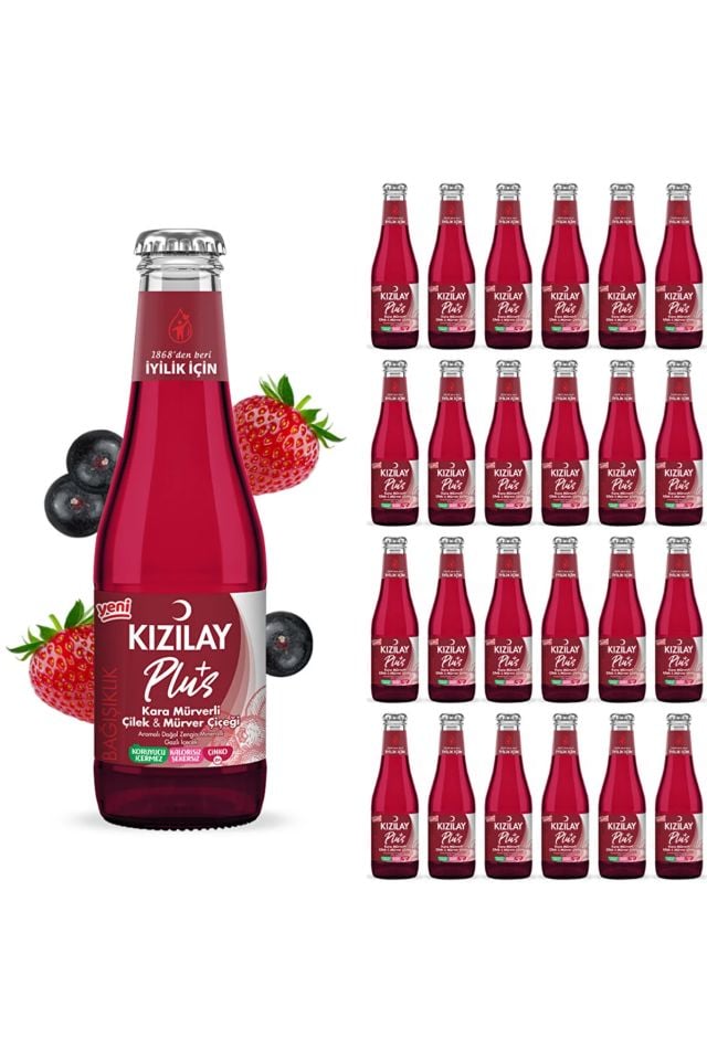 Kızılay Karamürver Çilek Aromalı Maden Suyu 200 ML x 24