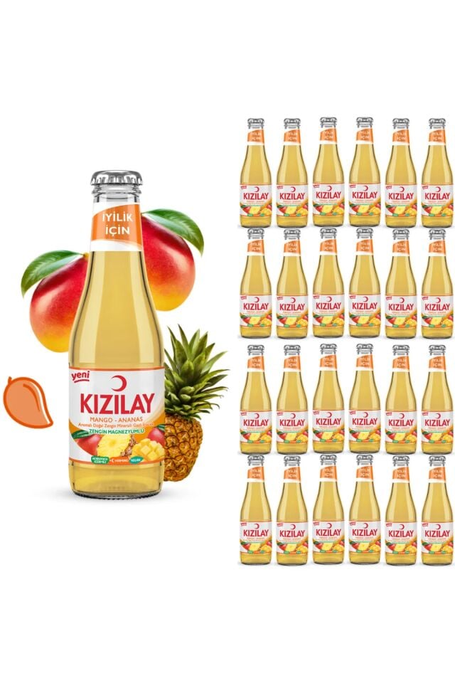 Kızılay Mango Ve Ananas Aromalı Maden Suyu 200 Ml X 24