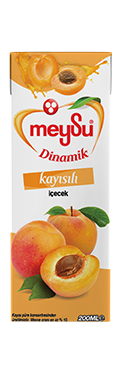 Meysu Dinamik Kayısı  200 Ml x 27 Adet