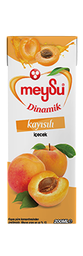 Meysu Dinamik Kayısı  200 Ml x 27 Adet