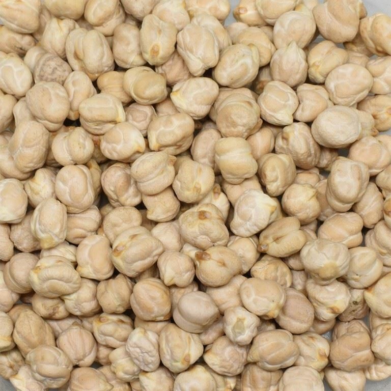 Göze 12mm Meksika Nohut 1 Kg