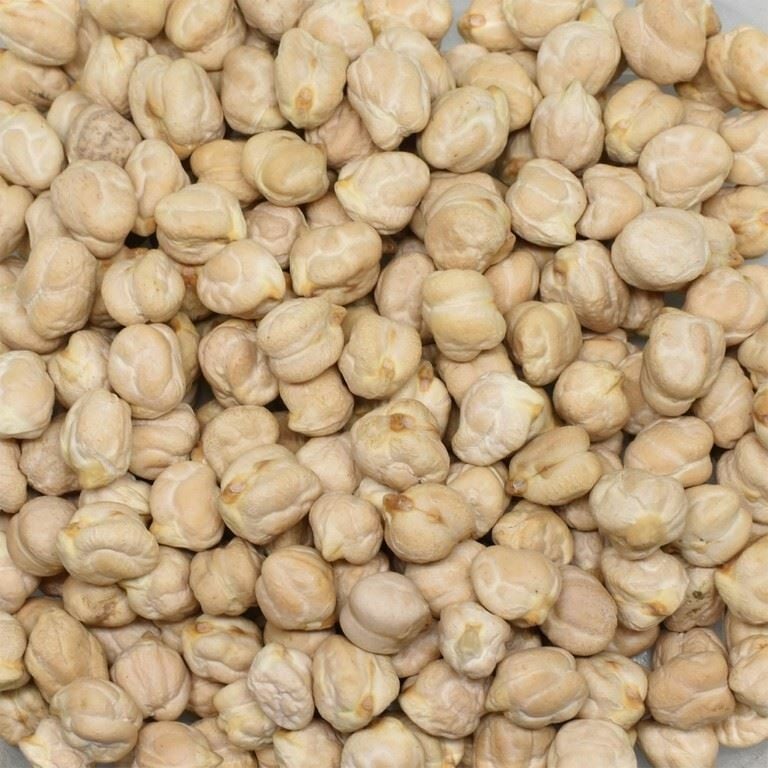 Göze 12mm Meksika Nohut 25 Kg