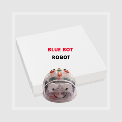 Blue Bot Robot