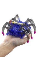 Robot Örümcek Kiti