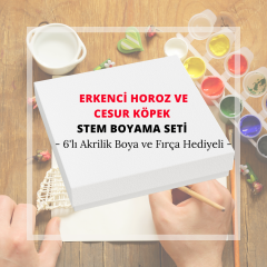 STEM Erkenci Horoz Ve Cesur Köpek Boyama Seti (TEKERLEKLİ)