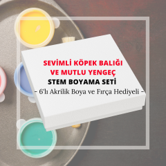 STEM Sevimli Köpek Balığı ve Mutlu Yengeç Boyama Seti - 6'lı Akrilik Boya ve Fırça Hediyeli