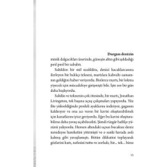 Martı