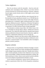 Unutma Beni Demansla Yaşamak