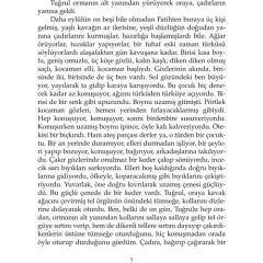 Kuşlar Gitti