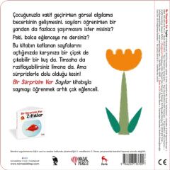 Bir Sürprizim Var Sayılar