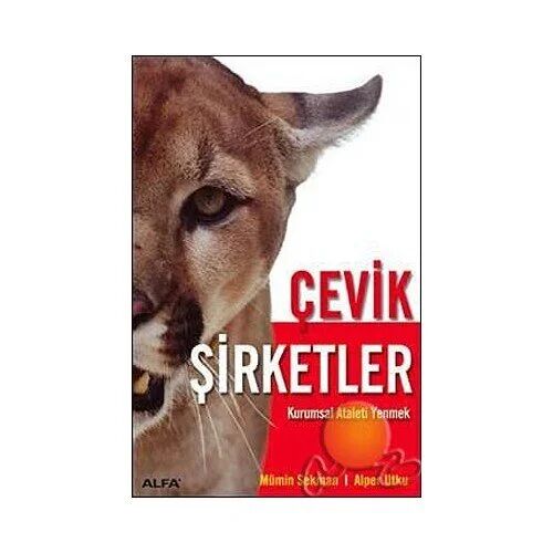 Çevik Şirketler-