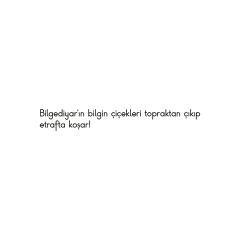 Bay  Bilgin  Bar