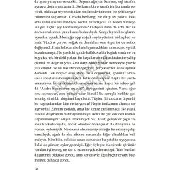 Demans: Bir Unutma Hikayesi Doğan Solibri