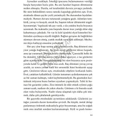 Demans: Bir Unutma Hikayesi Doğan Solibri