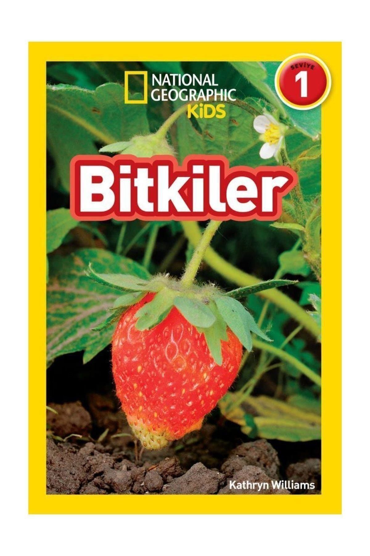 Bitkiler