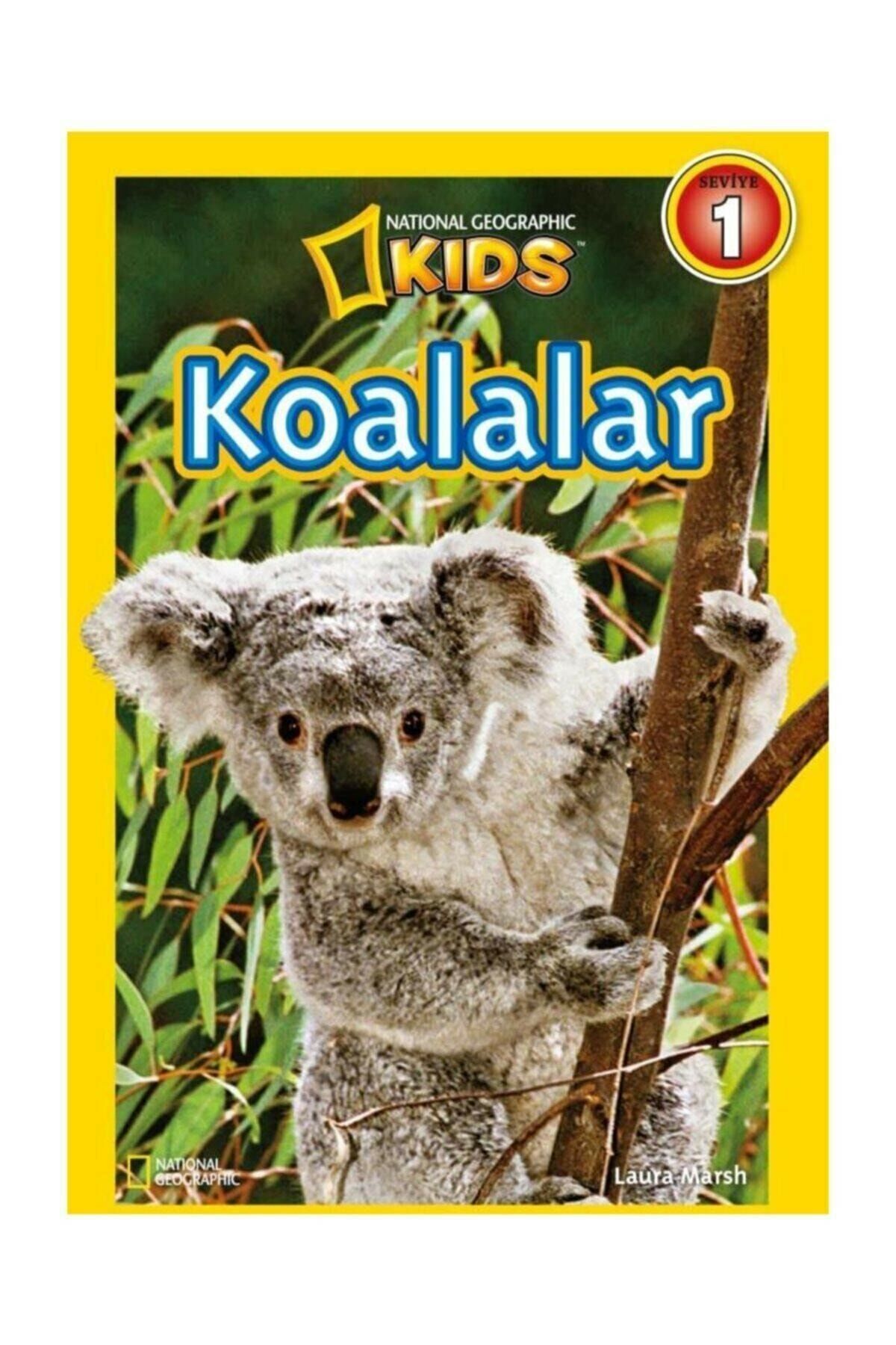 Koalalar