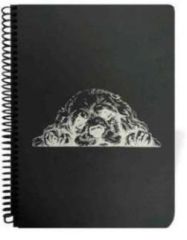 Liz 17x24 Spiralli Siyah Defter 120 R 40 Yp Syhp17