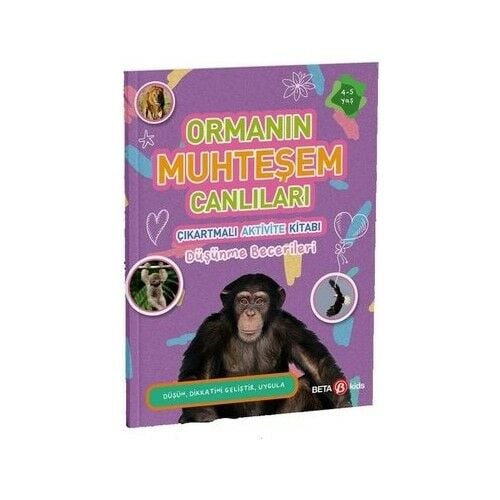 Ormanın Muhteşem Canlıları Düşünme Becerileri