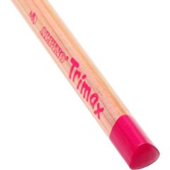Alpino Trimax 12 Li Kuru Boya