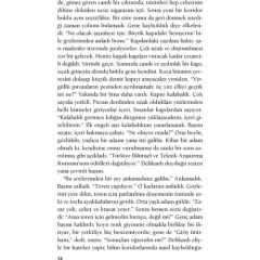 Bir Bilim Adamının Romanı