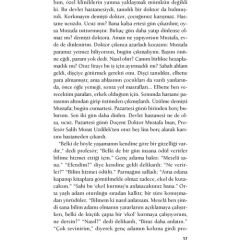 Bir Bilim Adamının Romanı