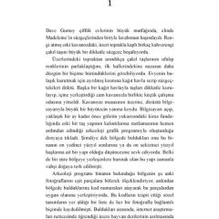 Fırtınada Yanacaksın - John Verdon