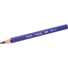 Bic Kids Evolutıon Üçgen Boya Kalemi 12 Li