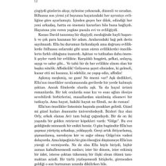 Aşk - Elif Şafak Pembe Kitap