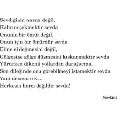Başıbozuk Sevdalar