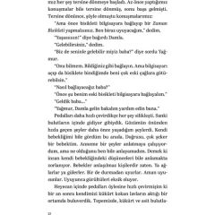 Zaman Bisikleti 1